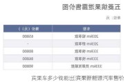 宾果车多少钱能出,宾果新能源汽车售价