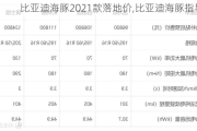 比亚迪海豚2021款落地价,比亚迪海豚指导价