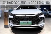 唐dmi2021,唐Dmi2021款功率