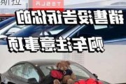 为什么那么多人买特斯拉呢-为什么那么多人买特斯拉