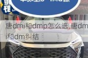 唐dmi和dmp怎么选,唐dmi和dm纠结