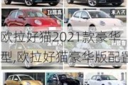 欧拉好猫2021款豪华型,欧拉好猫豪华版配置