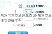 东营汽车交通违章查询-东营交通违章查询平台