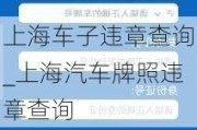 上海车子违章查询_上海汽车牌照违章查询