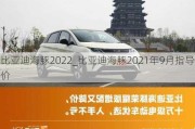 比亚迪海豚2022_比亚迪海豚2021年9月指导价