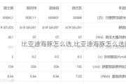 比亚迪海豚怎么选,比亚迪海豚怎么选配置