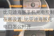 比亚迪海豚手机充电控制在哪设置_比亚迪海豚充电口怎么打开