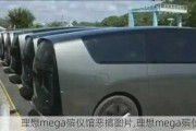 理想mega殡仪馆恶搞图片,理想mega殡仪馆