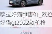 欧拉好猫gt售价_欧拉好猫gt2022款价格