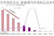 新能源汽车电机企业_新能源汽车电机企业未来怎么样