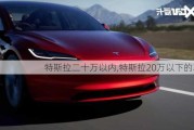 特斯拉二十万以内,特斯拉20万以下的车