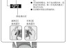 车辆换挡拨片具体怎么用-汽车换挡拨片的用处有哪些