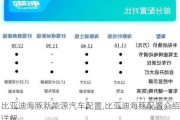 比亚迪海豚新能源汽车配置,比亚迪海豚配置介绍详解