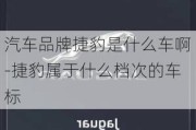 汽车品牌捷豹是什么车啊-捷豹属于什么档次的车标