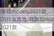 特斯拉modely2021款用的什么电池-特斯拉modely2021款