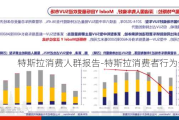 特斯拉消费人群报告-特斯拉消费者行为分析