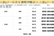 小鹏p7一年养车费用大概多少,小鹏p7一年养车费用