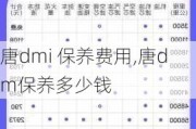 唐dmi 保养费用,唐dm保养多少钱