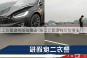 浙江交警遭特斯拉撞击-浙江交警遭特斯拉撞击