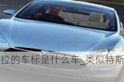 类似特斯拉的车标是什么车_类似特斯拉标志的汽车