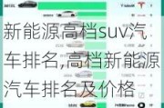 新能源高档suv汽车排名,高档新能源汽车排名及价格