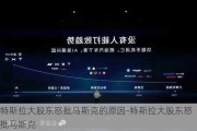 特斯拉大股东怒批马斯克的原因-特斯拉大股东怒批马斯克