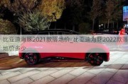 比亚迪海豚2021款落地价_比亚迪海豚2022款落地价多少