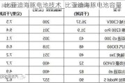 比亚迪海豚电池技术_比亚迪海豚电池容量