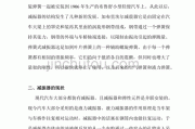 关于汽车减震器的论文-关于汽车减震器的论文3000字