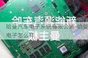 哈曼汽车电子系统有限公司-哈曼电子怎么样