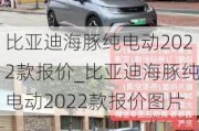 比亚迪海豚纯电动2022款报价_比亚迪海豚纯电动2022款报价图片