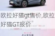 欧拉好猫gt售价,欧拉好猫GT报价