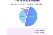 新能源汽车人口环境_新能源汽车目标人群