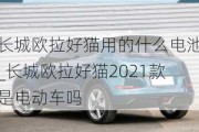 长城欧拉好猫用的什么电池_长城欧拉好猫2021款是电动车吗