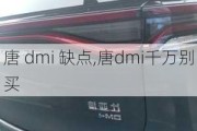 唐 dmi 缺点,唐dmi千万别买