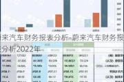 蔚来汽车财务报表分析-蔚来汽车财务报表分析2022年