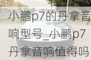 小鹏p7的丹拿音响型号_小鹏p7丹拿音响值得吗