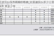 比亚迪汉ev保养周期价格表_比亚迪汉ev多少公里做次保养,需多少钱