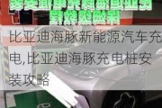 比亚迪海豚新能源汽车充电,比亚迪海豚充电桩安装攻略