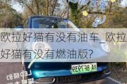 欧拉好猫有没有油车_欧拉好猫有没有燃油版?