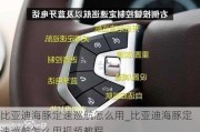 比亚迪海豚定速巡航怎么用_比亚迪海豚定速巡航怎么用***教程