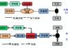 混合动力新能源汽车-混合动力新能源汽车驱动力流向图