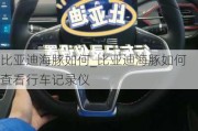 比亚迪海豚如何_比亚迪海豚如何查看行车记录仪