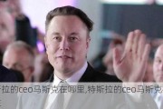 特斯拉的ceo马斯克在哪里,特斯拉的ceo马斯克在哪里住