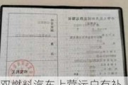 双燃料汽车上营运户有补贴吗现在-双燃料汽车上营运户有补贴吗