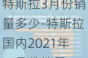 特斯拉3月份销量多少-特斯拉国内2021年三月份销量