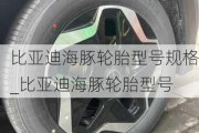 比亚迪海豚轮胎型号规格_比亚迪海豚轮胎型号