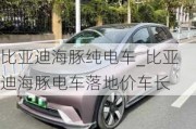 比亚迪海豚纯电车_比亚迪海豚电车落地价车长