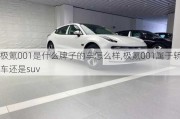 极氪001是什么牌子的车怎么样,极氪001属于轿车还是suv