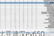 比亚迪汉ev650实际续航里程_比亚迪汉ev605冠军版配置